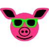 Pig with sunglasses