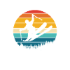 Ski