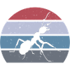 Ant