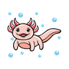 I Axolotl Questions