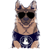 Police Dog German Shepherd