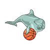Dauphin avec basket-ball