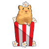 Hamster Popcorn