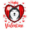 Min Husky er min Valentine jeg Husky