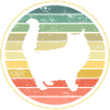 Cat Cats