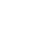 Head Geometric Jaguar
