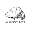 Labrador Amour