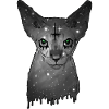 Egyptian cat Sphynx Cat