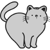 Cat Cats
