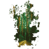 FORÊT