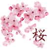 Fiori di ciliegio giapponesi - Sakura