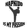 Hapkido Aikido Judo Martial Arts Training Martial Arts
