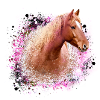 haflinger,pferd,graffiti, malerei, pferdekopf,rosa