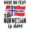 Norsk norsk norsk oprindelse norsk flag