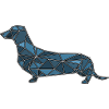 Dachshund polygon geometric