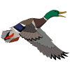 Mallard motif