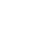Pterosaur Dino Geometry
