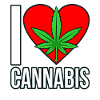 Cannabis