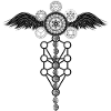 Winged Metatron Dna Platonic Solids
