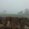 Fog