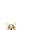 Chihuahua drôle