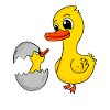 Canard avec bébé canard