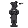 Patterdale Terrier Dog