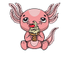 Snaxolotl Axolotl Amphibians Tailed Amphibians