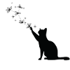Starry Magic Cat