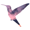 Cloud Hummingbird