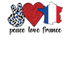 French France Flag French roots