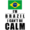 Brazilian saying