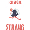 Strauß