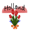 Tulip heart from Holland