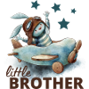 Little brother