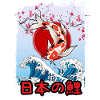 Japanese Koi Carp Angler