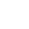 rebellious gift idea