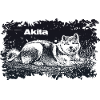 Akita