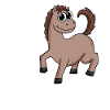 Pferd Pferde Hauspferd