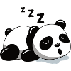 Sleeping Giant Panda Bear Tired of Snoring
