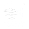 Lustiger Rollstuhlfahrer