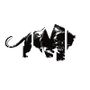 MMA Design mit einer Raubkatze