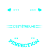 PERRINE PARFAITE - NOM PERRINE