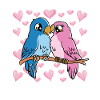 Saint-Valentin Couple Oiseaux Cœurs Oiseaux