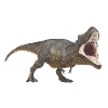 Dinosaur Tyrannosaurus Rex
