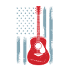 USA Flag Guitar | Guitar