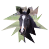 Horse. Pferd.