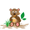Honigbärchen