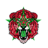 Marokko Lion Flag Jersey Fodbold Team Sport