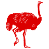 Ostrich Bird Silhouette